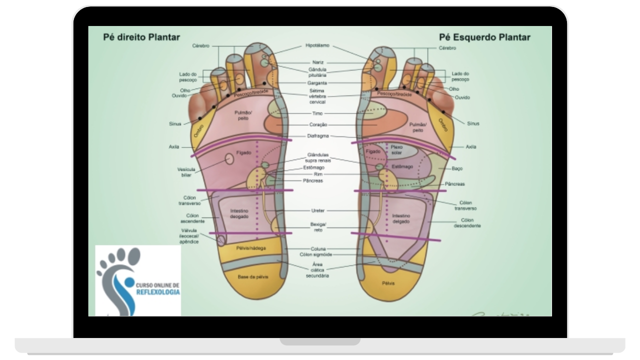 Curso Online de Reflexologia